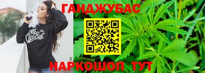 прущие грибы Кингисепп