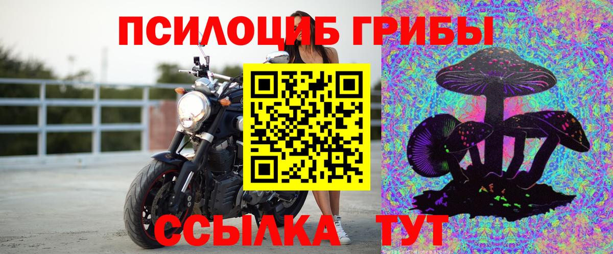 Псилоцибиновые грибы Cubensis  Галлюциногенные грибы Psilocybine cubensis  Вход с VPN  Урюпинск 