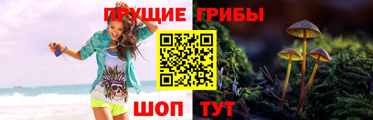 Галлюциногенные грибы мухоморы Урюпинск